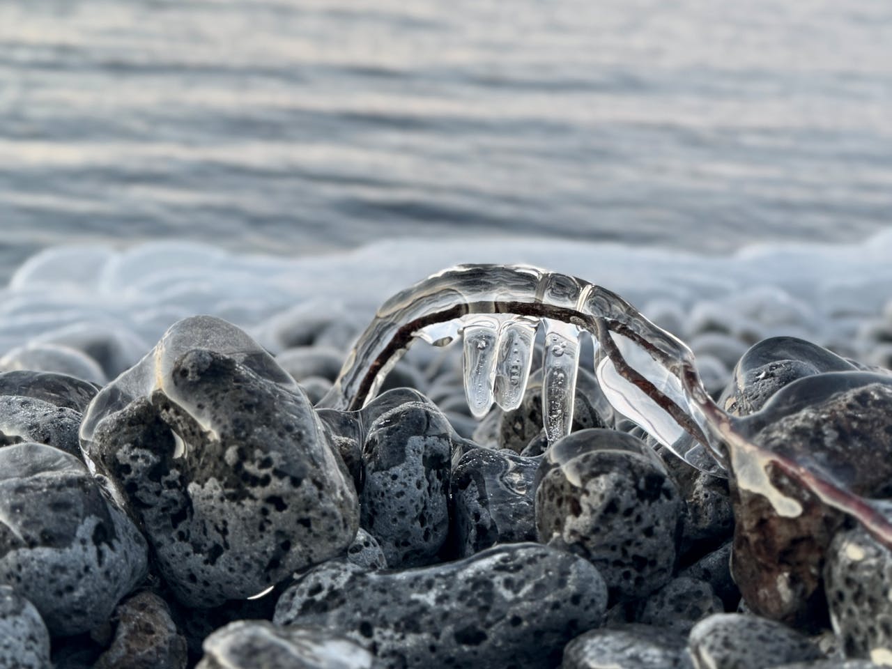 Free stock photo of beach stones, bondi icebergs, frozen art